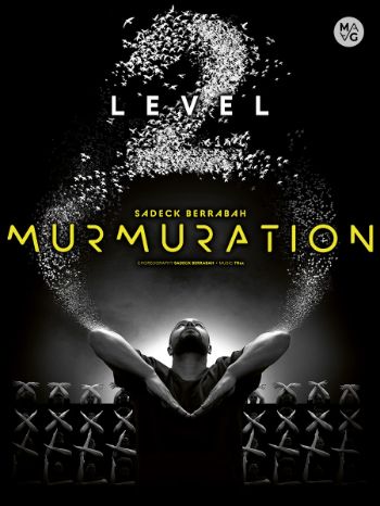 murmuration